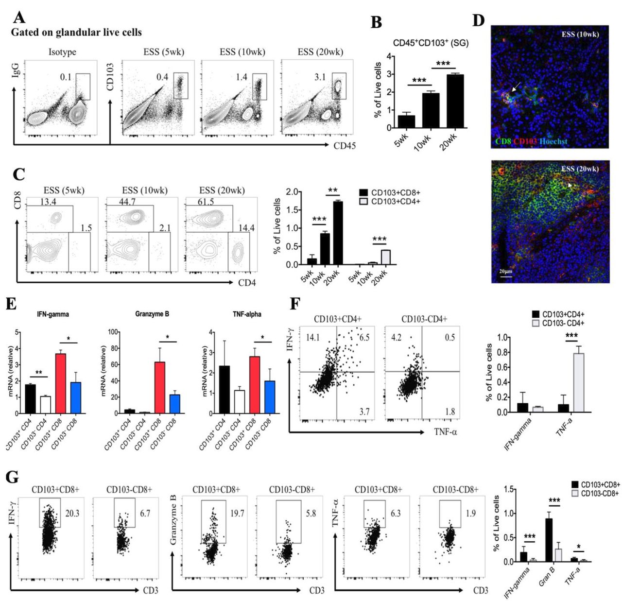CD8+ tissue-resident memory T cells are expanded in primary